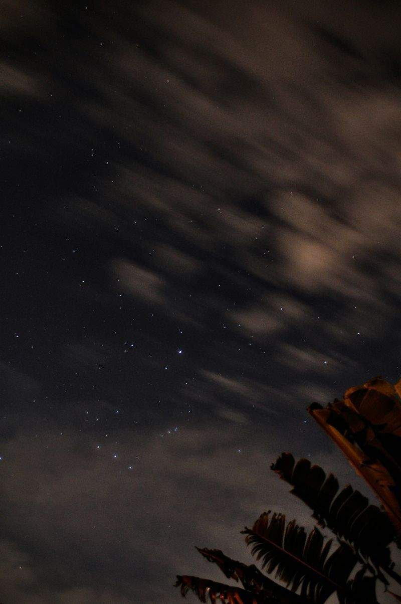 Geführte Sternbeobachtungen
